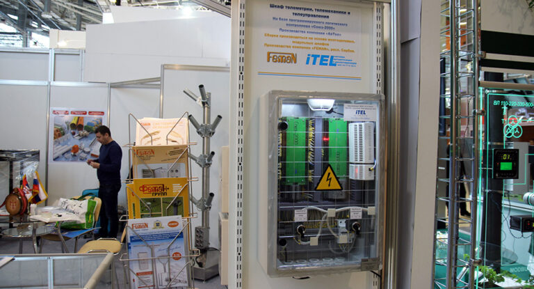 Электрические сети России-2017